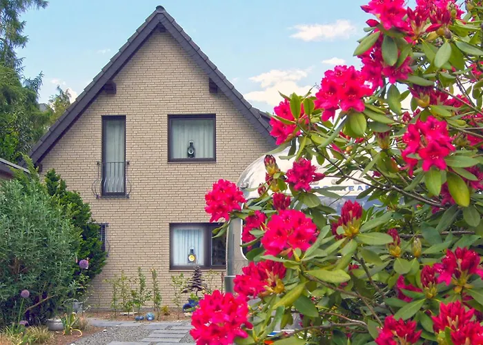 דירה Eifel-flair Geraeumig-stilvoll-ruhige Lage Am Rursee Und Nationalpark Eifel *